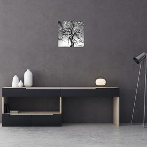 Obraz - Černobílý strom (30x30 cm)