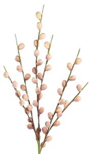 Eglo 428186 - Umělá květina MEHAKIT 90 cm růžová