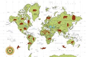 Tapeta mapa se zvířaty