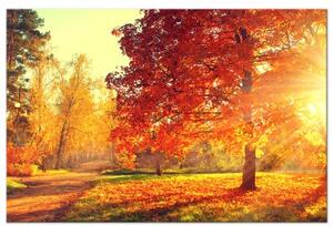 Obraz - Autumn Afternoon (1 Part) Wide