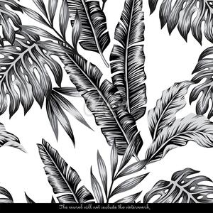 Fototapeta Krása tropických rostlin Samolepící 250x250cm