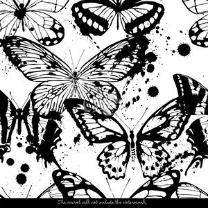 Fototapeta Inkoustové motýli Samolepící 250x250cm