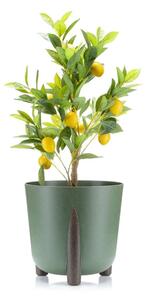 PLASTOVÝ KVĚTINÁČ MOSS ECO 25X26 CM ZELENÁ