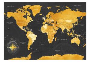Tapeta mapa světa Yellow + lepidlo ZDARMA Velikost (šířka x výška): 150x105 cm