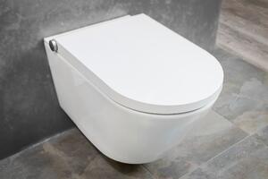 Balíček WC economy 8: BERNSTEIN SHOWER WC PRO+ 1102 kompletní systém a sanitární modul 805 v bílé barvě