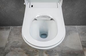 Balíček WC economy 7: základní sprchový klozet 1102 a sanitární modul 805 v černé barvě