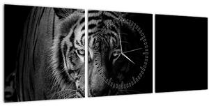 Obraz divokého tygra (s hodinami) (90x30 cm)