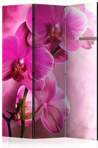 Paraván - Pink Orchid [Room Dividers]