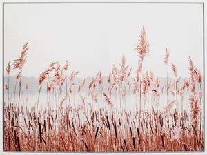 TIŠTĚNÉ OBRAZY NA PLÁTNĚ, krajina a příroda, 60/45 cm Monee - Umělecký tisk