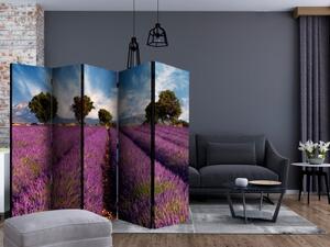 Paraván - Lavender field in Provence, France II [Room Dividers]
