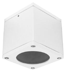 PALNAS 66003504 ŠÍŘKA: 89 mm