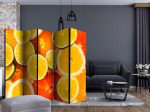Paraván - Citrus fruits II [Room Dividers]