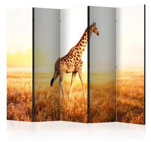 Paraván - giraffe - walk II [Room Dividers]