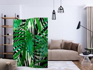 Paraván - Tropical Leaves [Room Dividers]