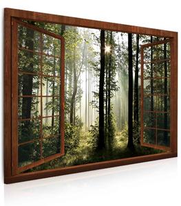 Malvis Okno v ranním lese Velikost: 90x60 cm