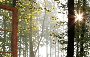 Malvis Okno v ranním lese Velikost: 120x80 cm