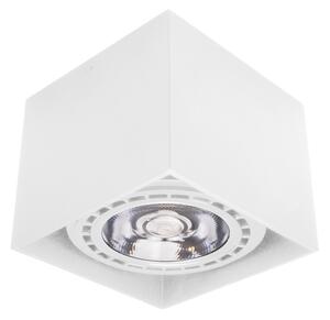 PALNAS 61003313 ŠÍŘKA: 120 mm