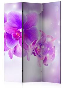 Paraván - Purple Orchids [Room Dividers]
