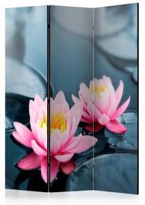 Paraván - Lotus blossoms [Room Dividers]