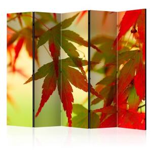 Paraván - Colourful leaves II [Room Dividers]