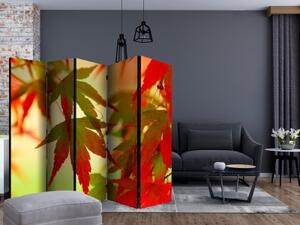 Paraván - Colourful leaves II [Room Dividers]