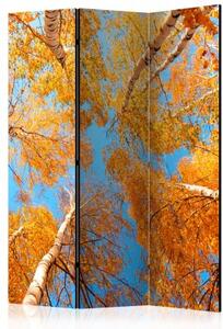 Paraván - Autumnal treetops [Room Dividers]