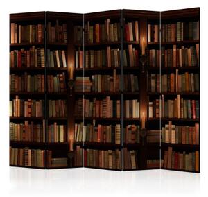 Paraván - Bookshelves II [Room Dividers]