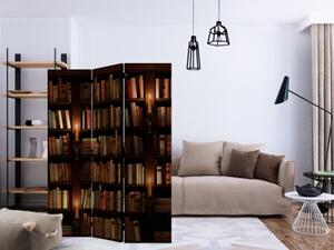 Paraván - Bookshelves [Room Dividers]