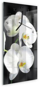 Skleněné hodiny vertikální Orchidej zsppc-30x60-00170763