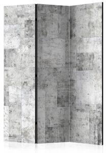 Paraván - Concrete: Grey City [Room Dividers]