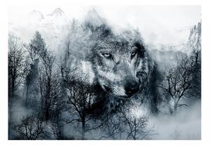 Fototapeta vlk černobílá + lepidlo ZDARMA Velikost (šířka x výška): 200x140 cm