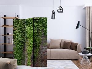 Paraván - Brick and ivy [Room Dividers]