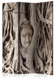 Paraván - Buddha's Tree [Room Dividers]