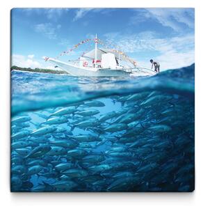 Malvis Obraz Hejno ryb Velikost (šířka x výška): 50x50 cm