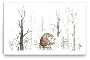 Malvis Obraz malovaný medvídek Velikost (šířka x výška): 90x60 cm