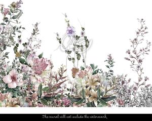 Fototapeta Extravagance divokých květin Samolepící 250x250cm