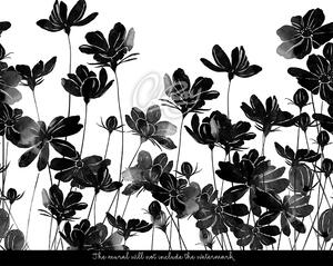 Fototapeta Elegantní černé květy Samolepící 250x250cm