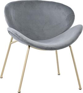 Sada dvou jídelních židlí – elegantní sametové židle – s zlatými kovovými nohami – a pohodlný design