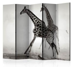 Paraván - Giraffes II [Room Dividers]
