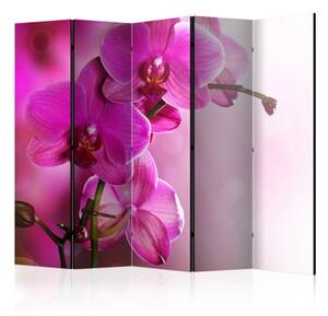Paraván - Pink orchid II [Room Dividers]