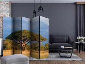 Paraván - African acacia tree, Hwange National Park, Zimbabwe II [Room Dividers]