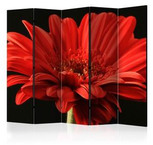 Paraván - Red gerbera flower II [Room Dividers]