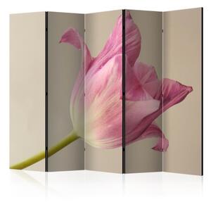 Paraván - Pink tulip II [Room Dividers]