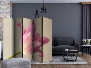 Paraván - Pink tulip II [Room Dividers]