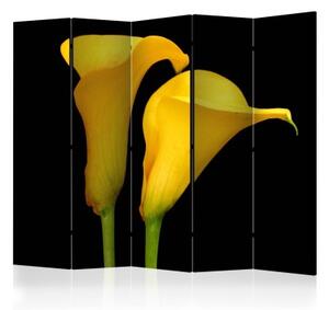 Paraván - Two yellow calla flowers on a black background II [Room Dividers]