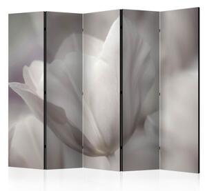 Paraván - Tulip - black and white photo II [Room Dividers]