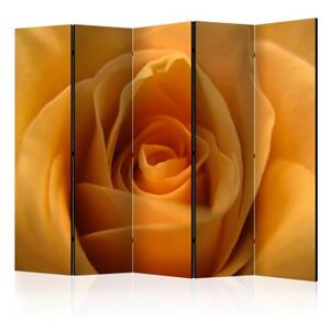 Paraván - Yellow rose – a symbol of friendship II [Room Dividers]