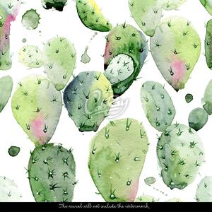 Fototapeta Osvěžující síla kaktusu Samolepící 250x250cm