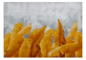 Fototapeta - Banana Leaves