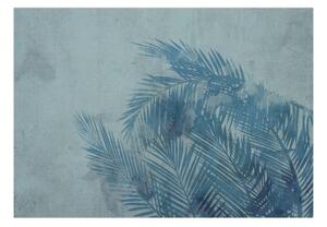 Fototapeta - Palm Trees in Blue